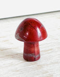 Tiny Gemstone mushrooms