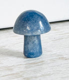 Tiny Gemstone mushrooms